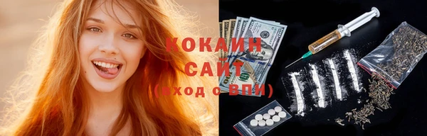 прущие грибы Абаза