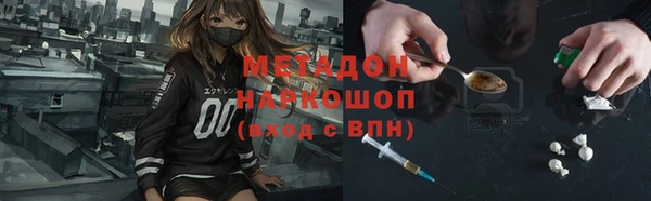 прущие грибы Абаза