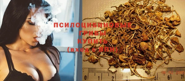 трава Абинск