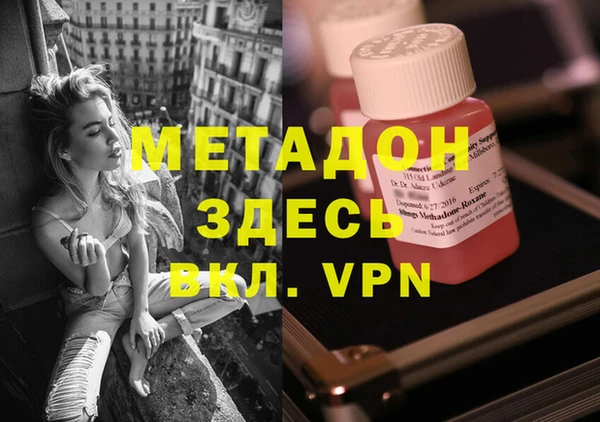 прущие грибы Абаза