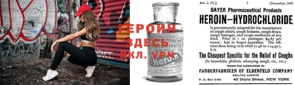 прущие грибы Абаза